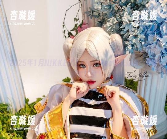 2025年1月NIKKE遇上Tiny Asa的灰姑娘：精选画框瞬间